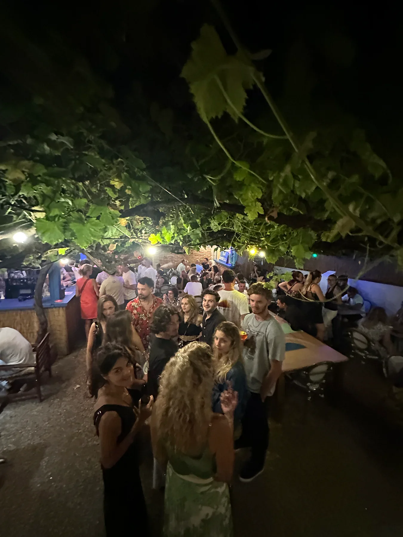 Sur la piste de La Bodega un soir d'été — monde dehors, guirlandes au-dessus de la tête, ambiance bar dansant