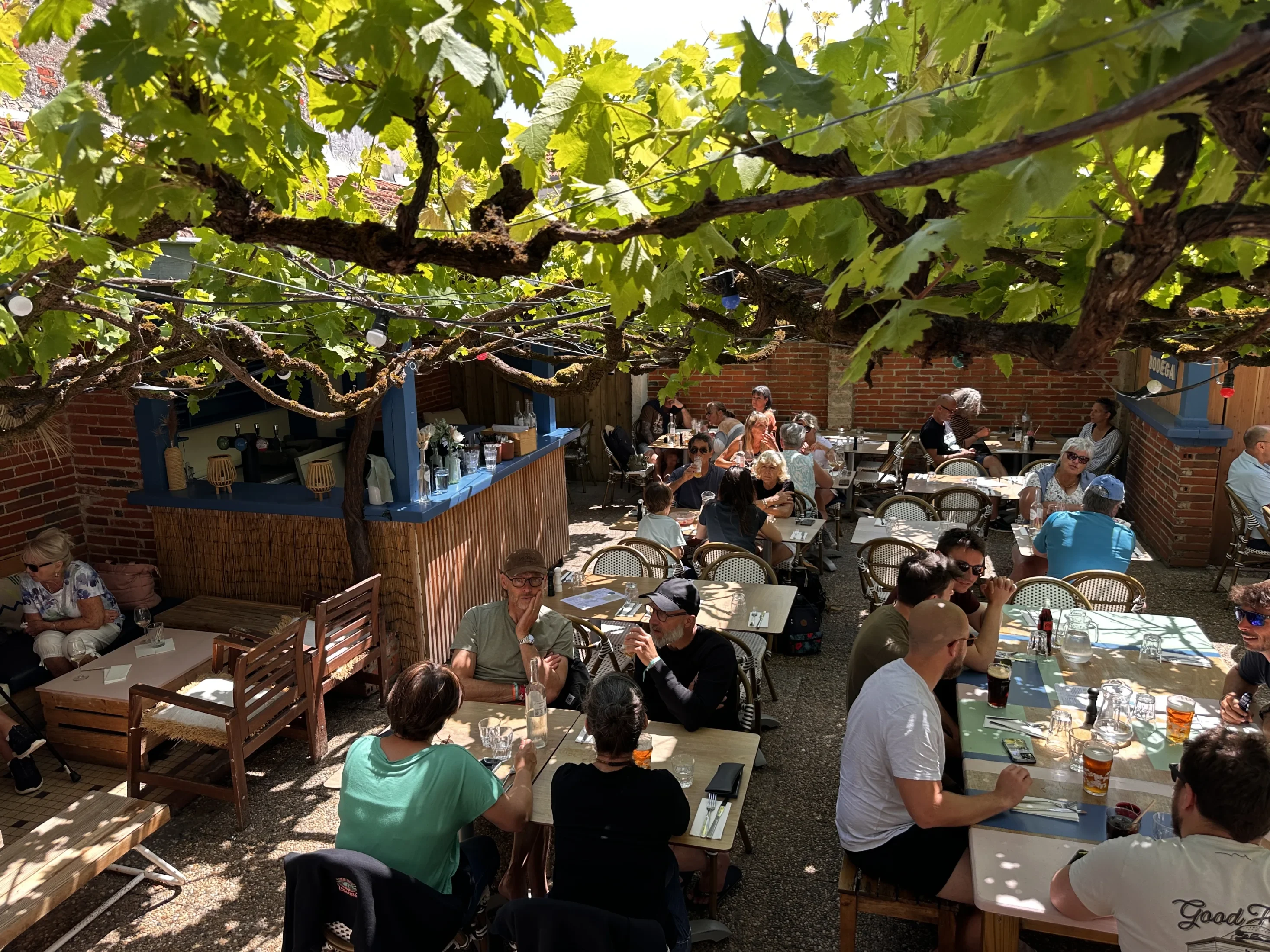 La terrasse de La Bodega en service — tables pleines sous la vigne, lumière d'été qui filtre entre les feuilles