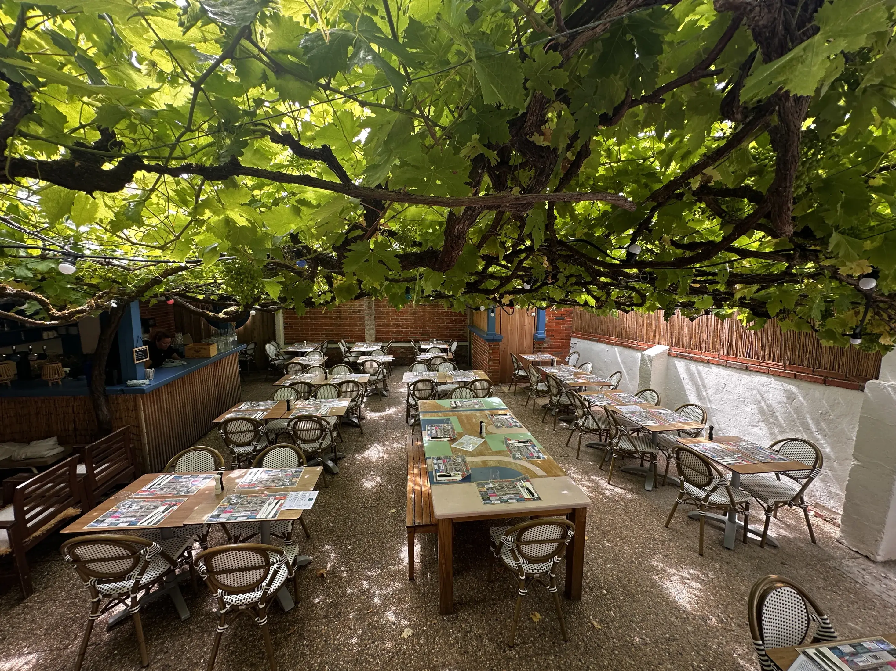 La grande table sous la tonnelle de vigne — bouquet, verres dressés, l'enseigne ronde de La Bodega en arrière-plan